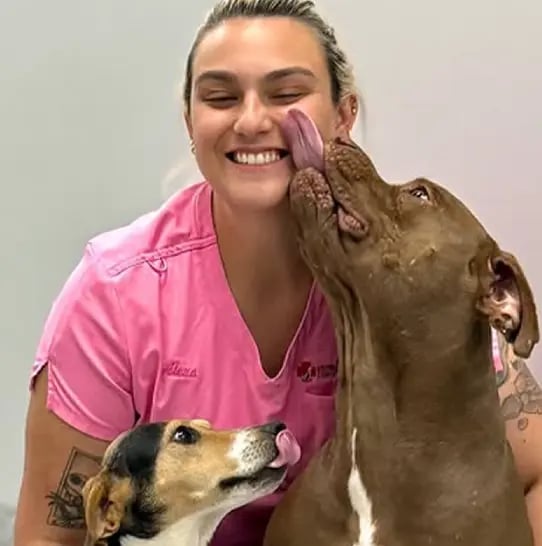 Veterinarian with two dogs.
