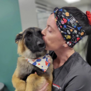 Veterinarian kissing a dog.