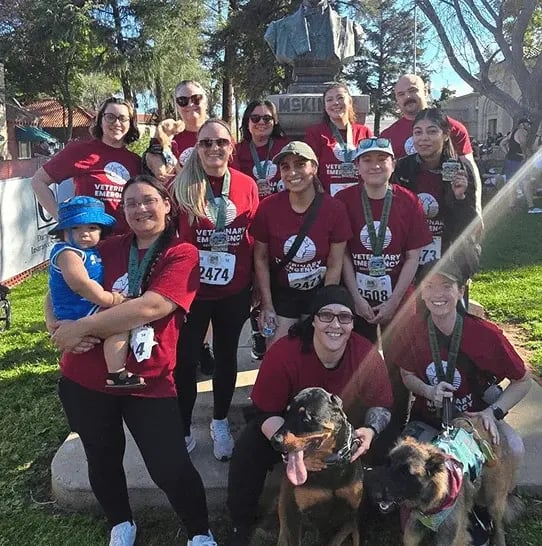 our-team